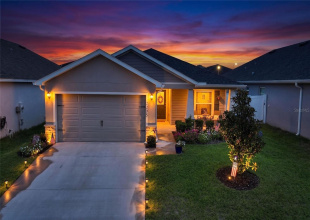 Front View Sunset