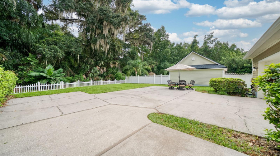 View of Conservation and Backyard from Driveway