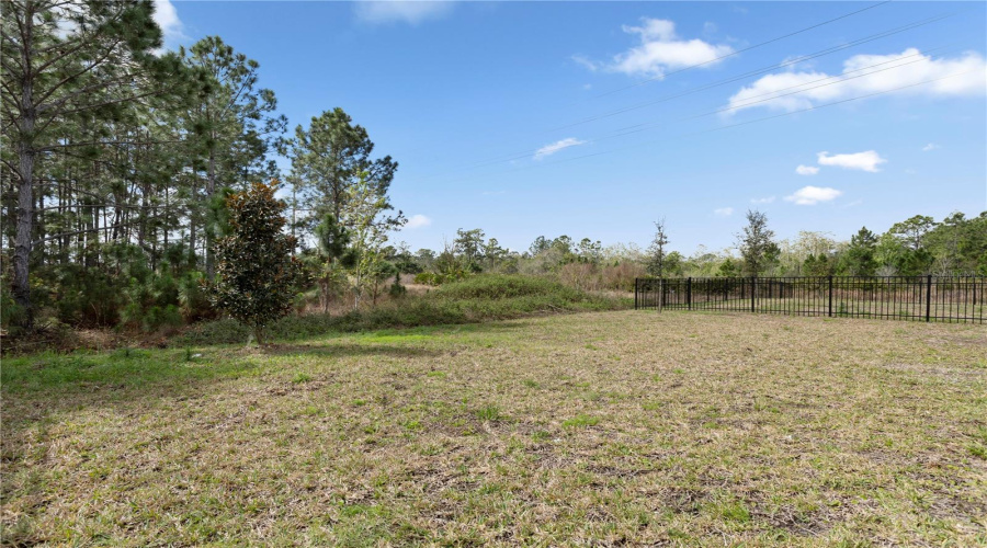 DAVENPORT, Florida 33837, 4 Bedrooms Bedrooms, ,3 BathroomsBathrooms,Residential,For Sale,CAMDEN,0,MFRO6387597
