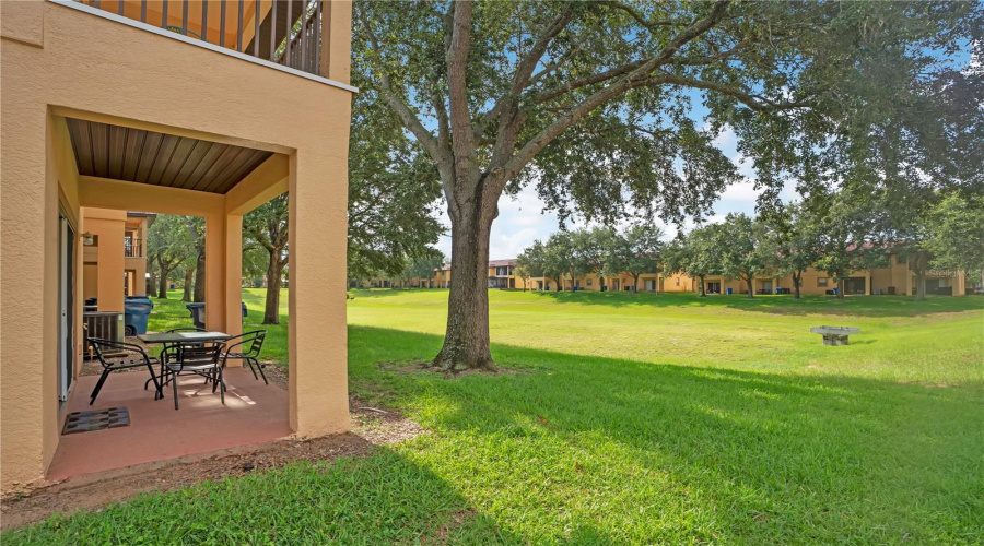 Back Porch to Green Space