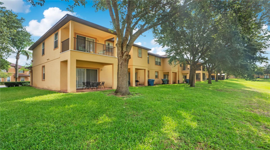 Green Space behind home