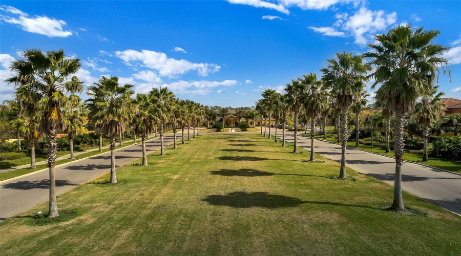 KISSIMMEE, Florida 34747, 4 Bedrooms Bedrooms, ,3 BathroomsBathrooms,Residential,For Sale,CAT PALM,0,MFRO6428364