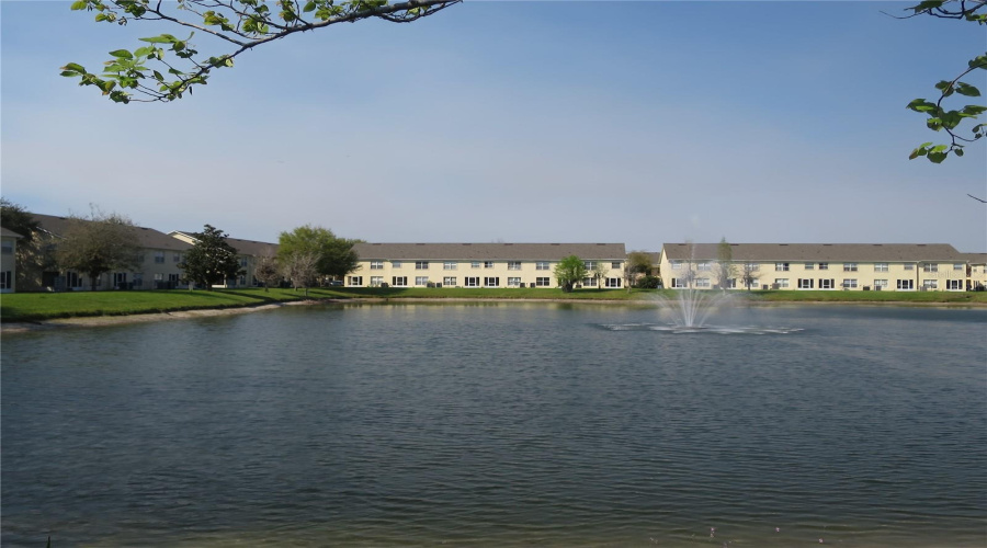 Community Surroundings