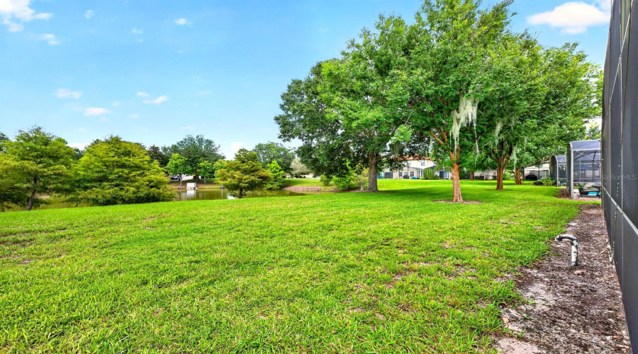 The spacious backyard