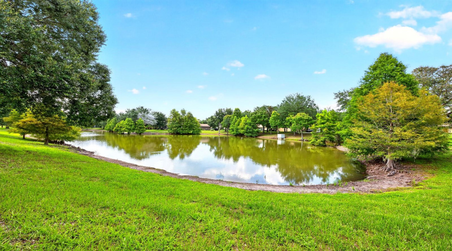 Peaceful pond views