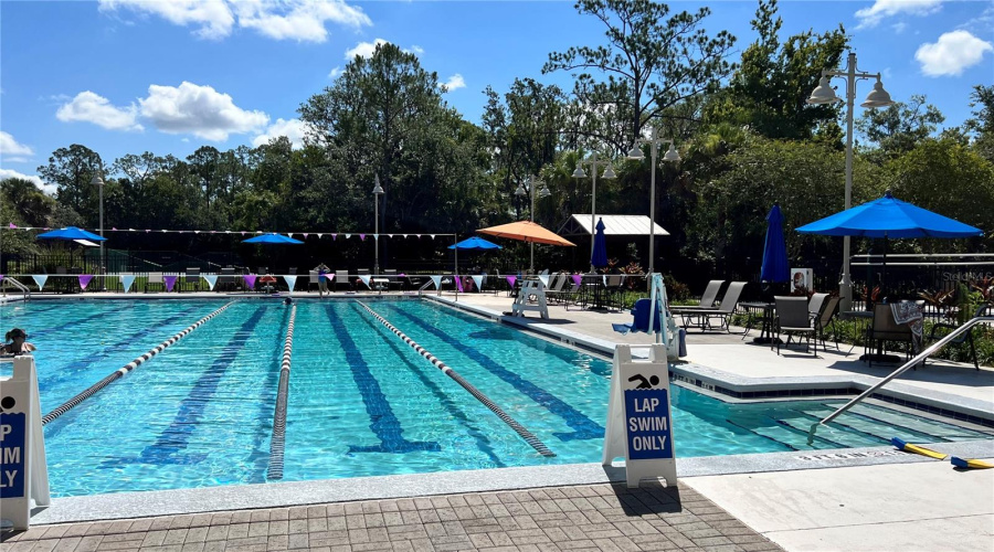 CELEBRATION, Florida 34747, 3 Bedrooms Bedrooms, ,2 BathroomsBathrooms,Residential,For Sale,SANDLACE,0,MFRO6423816