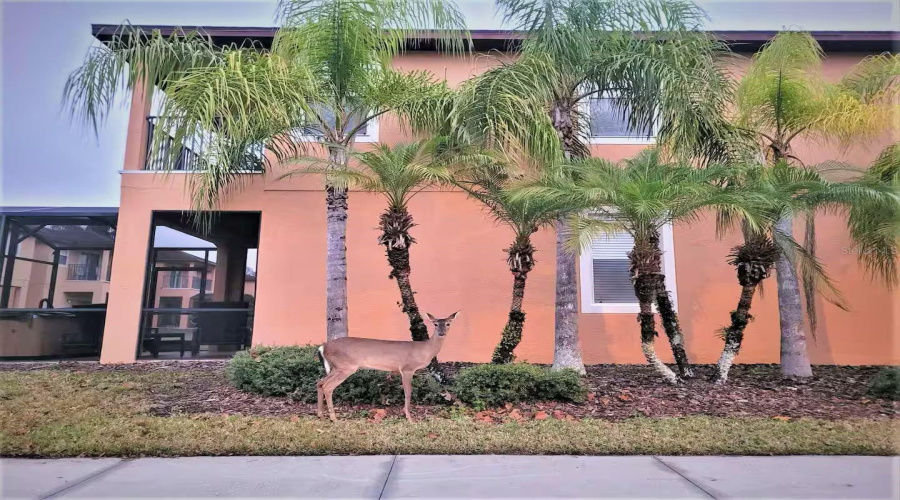 KISSIMMEE, Florida 34746, 4 Bedrooms Bedrooms, ,3 BathroomsBathrooms,Residential,For Sale,CAMARO,0,MFRO6434044