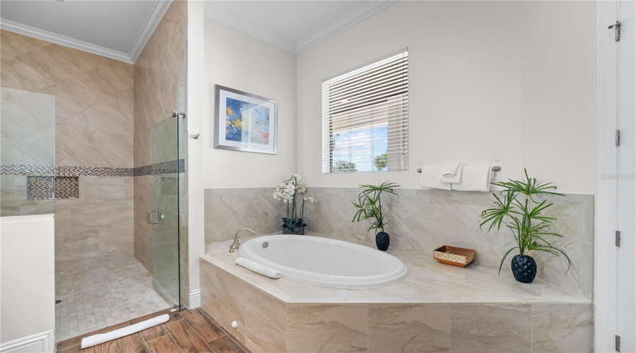 Reunion, Florida 34747, 11 Bedrooms Bedrooms, ,12 Bathroomsbathrooms,Residential,For Sale,Grand Traverse,0,Mfro6337382