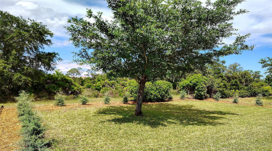 DAVENPORT, Florida 33837, 4 Bedrooms Bedrooms, ,2 BathroomsBathrooms,Residential,For Sale,OAK BLUFF,0,MFRO6409756