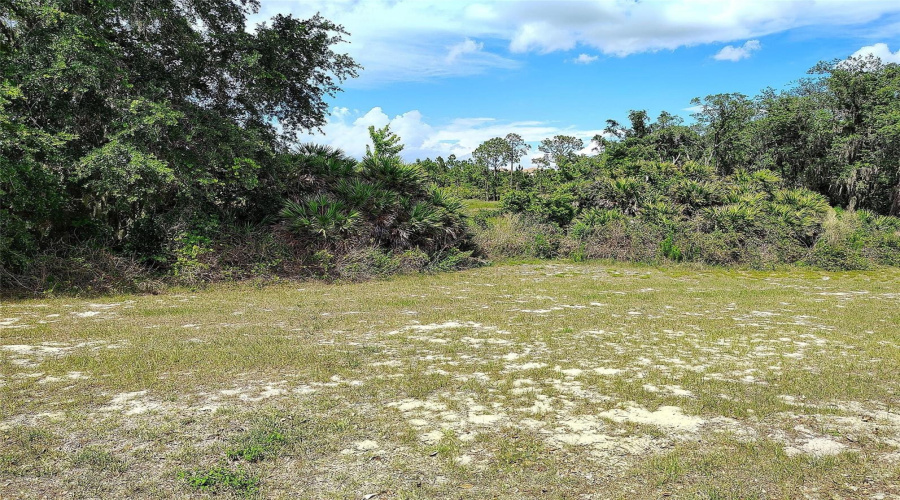 DAVENPORT, Florida 33837, 4 Bedrooms Bedrooms, ,2 BathroomsBathrooms,Residential,For Sale,OAK BLUFF,0,MFRO6409756