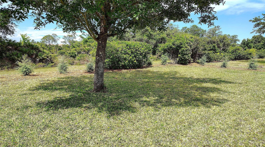 DAVENPORT, Florida 33837, 4 Bedrooms Bedrooms, ,2 BathroomsBathrooms,Residential,For Sale,OAK BLUFF,0,MFRO6409756
