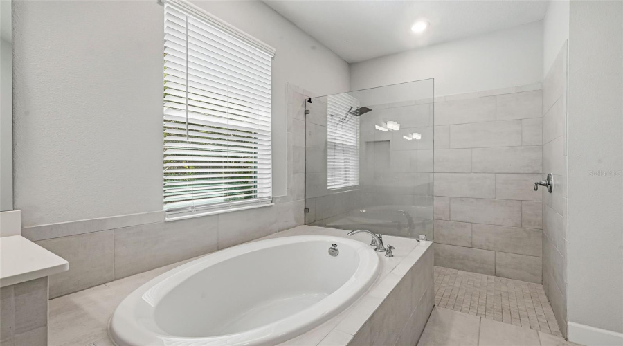KISSIMMEE, Florida 34746, 4 Bedrooms Bedrooms, ,3 BathroomsBathrooms,Residential,For Sale,AGOSTINO,0,MFRS5155606