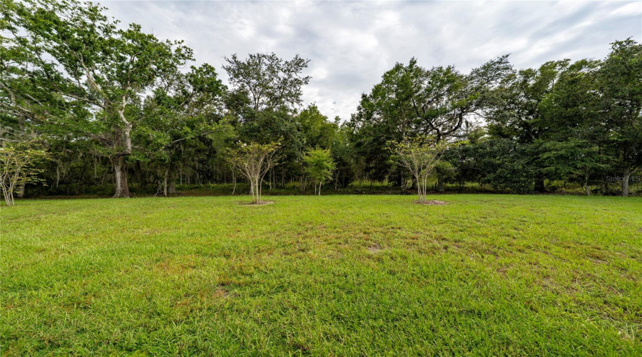 KISSIMMEE, Florida 34746, 4 Bedrooms Bedrooms, ,2 BathroomsBathrooms,Residential,For Sale,TWISTED TWIG,0,MFRS5155807