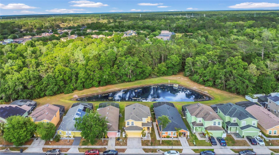 DAVENPORT, Florida 33896, 4 Bedrooms Bedrooms, ,3 BathroomsBathrooms,Residential,For Sale,HAMMOCK,0,MFRO6410789