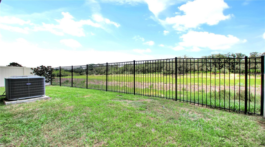 Fenced Backyard