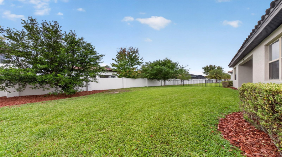 Back Yard