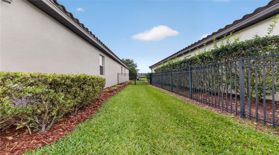 Side Yard
