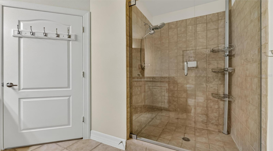 Guest Bathroom - Walk-in shower