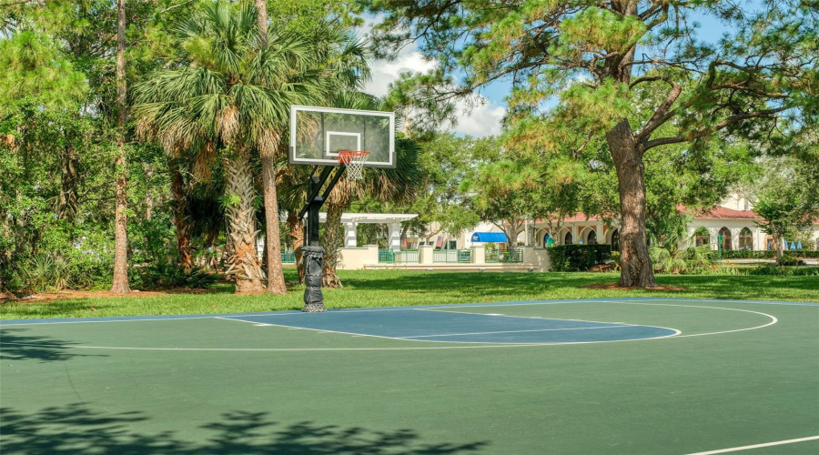 Celebration Basketball