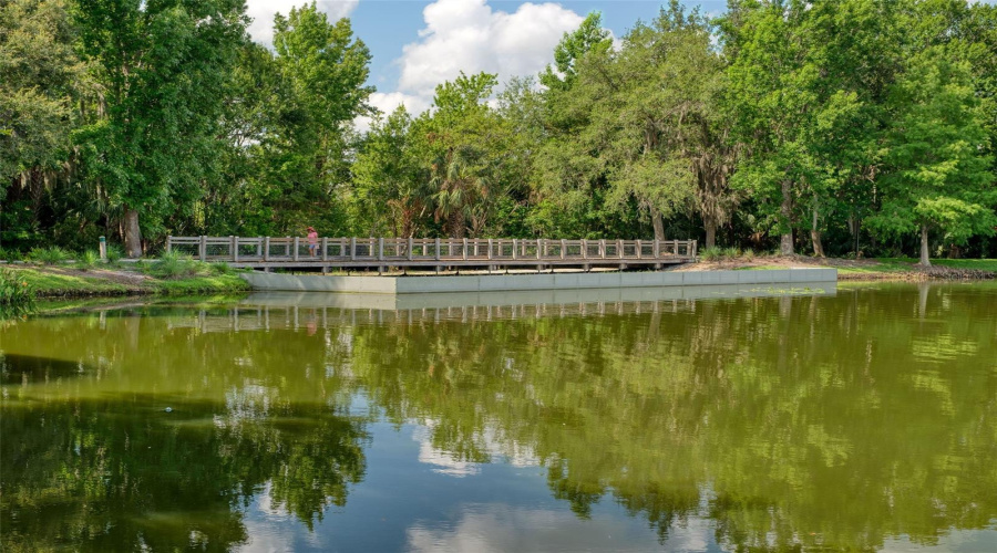 Downtown Walking Trails