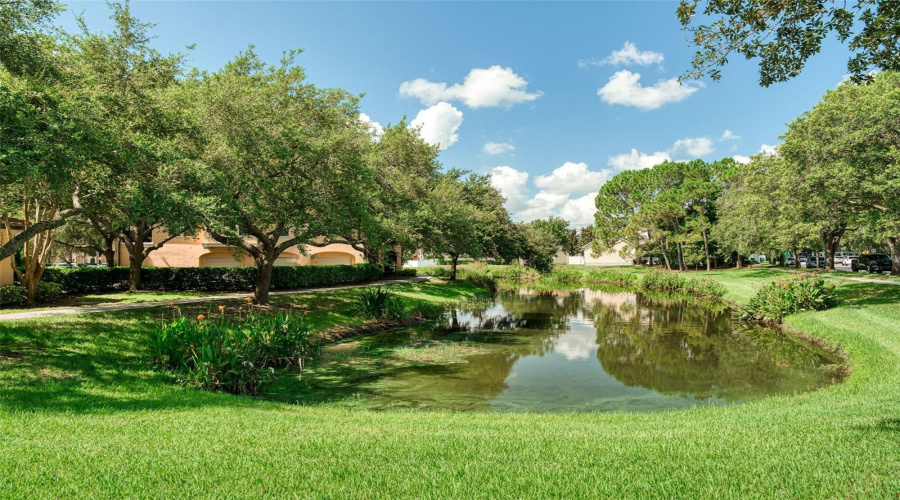 Mirasol waterside