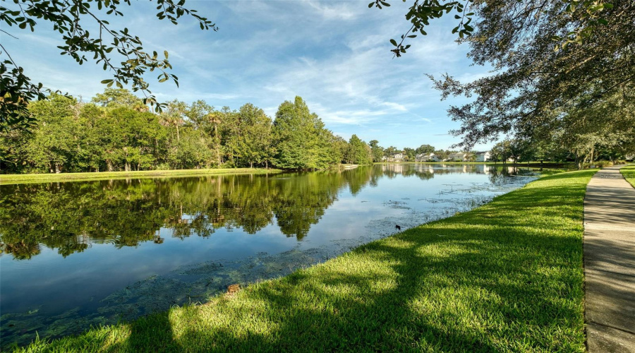 Celebration Walking & Cycling Trails