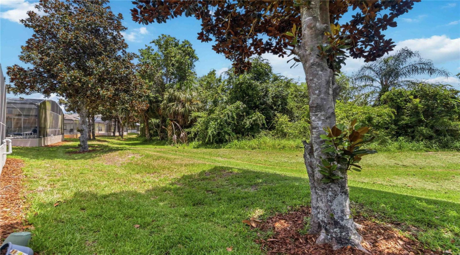 DAVENPORT, Florida 33896, 4 Bedrooms Bedrooms, ,4 BathroomsBathrooms,Residential,For Sale,SUFFOLK,0,MFRO6423832