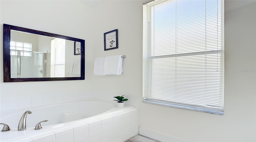 Kissimmee, Florida 34747, 4 Bedrooms Bedrooms, ,3 Bathroomsbathrooms,Residential,For Sale,Fan Palm,0,Mfro6436177