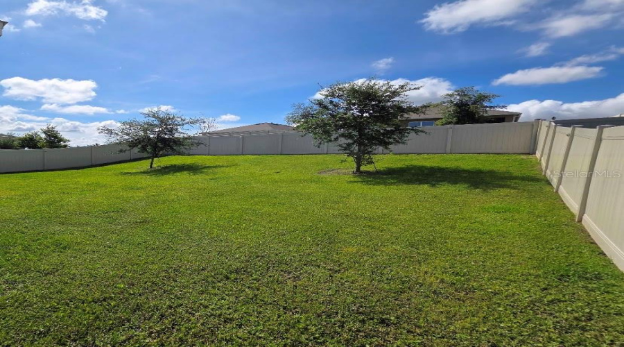 Fenced Backyard