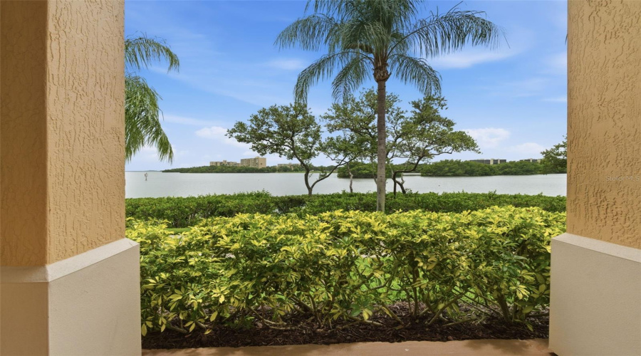 Clearwater, Florida 33764, 1 Bedroom Bedrooms, ,1 Bathroombathrooms,Residential,For Sale,Via Capri,0,Mfrtb8514974