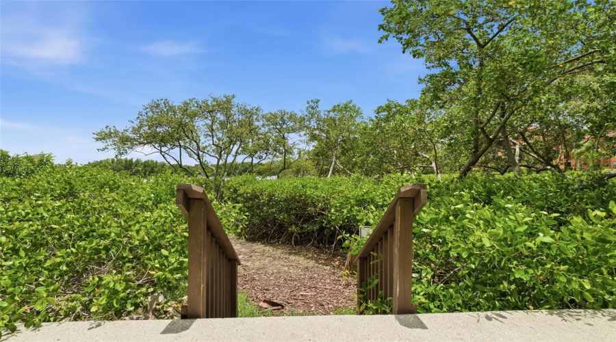 Clearwater, Florida 33764, 1 Bedroom Bedrooms, ,1 Bathroombathrooms,Residential,For Sale,Via Capri,0,Mfrtb8514974