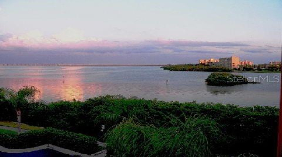 Clearwater, Florida 33764, 1 Bedroom Bedrooms, ,1 Bathroombathrooms,Residential,For Sale,Via Capri,0,Mfrtb8514974