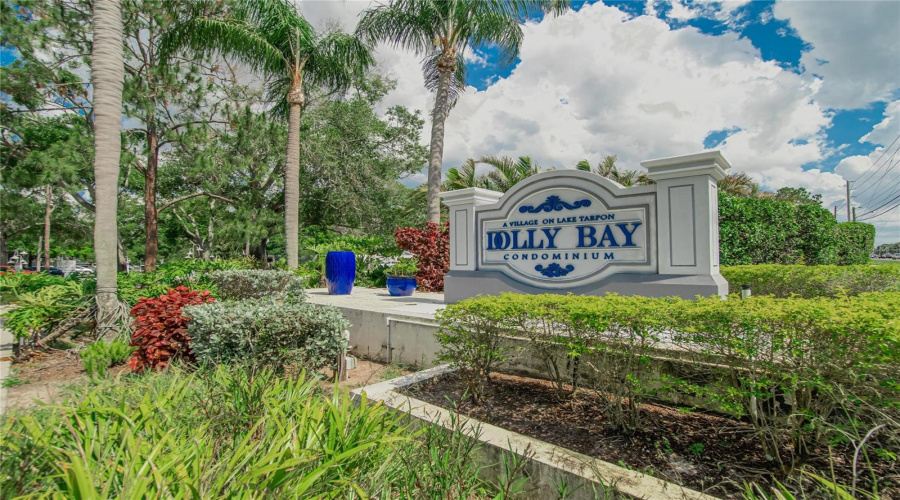 Palm Harbor, Florida 34684, 2 Bedroom Bedrooms, ,2 Bathroombathrooms,Residential,For Sale,Dolly Bay,0,Mfrtb8512345