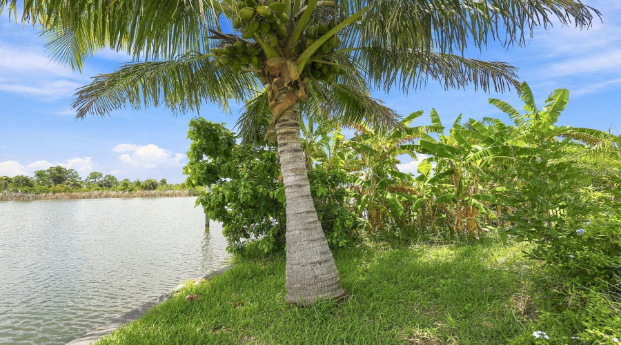 Port Charlotte, Florida 33981, 3 Bedroom Bedrooms, ,2 Bathroombathrooms,Residential,For Sale,Aztec,0,Mfrw7887978