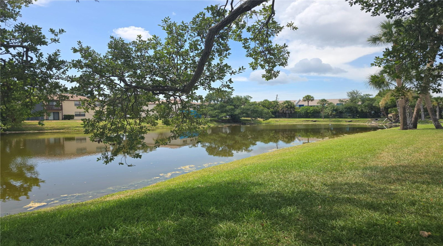 Bradenton, Florida 34207, 1 Bedroom Bedrooms, ,1 Bathroombathrooms,Residential,For Sale,Live Oak Cir,0,Mfra4698614