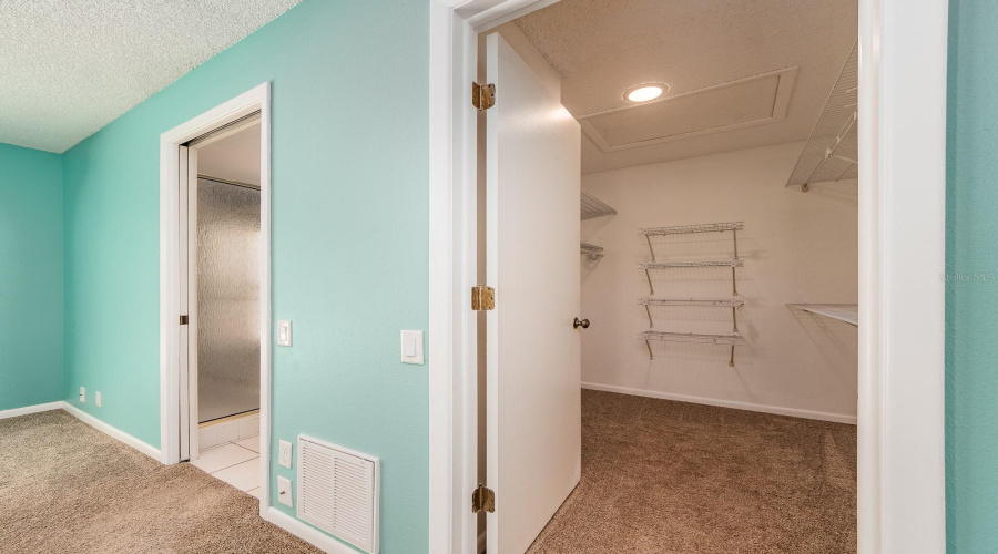 Primary With Huge Walk In Closet