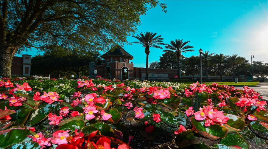 Groveland, Florida 34736, 2 Bedroom Bedrooms, ,2 Bathroombathrooms,Residential,For Sale,Flame Vine,0,Mfrg5117000