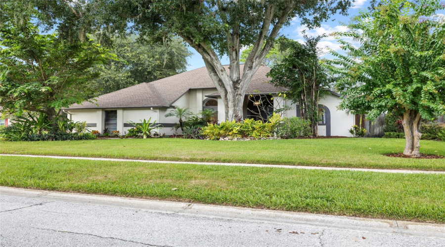 Lutz, Florida 33548, 4 Bedroom Bedrooms, ,2 Bathroombathrooms,Residential,For Sale,Clear Lake,0,Mfrtb8542395