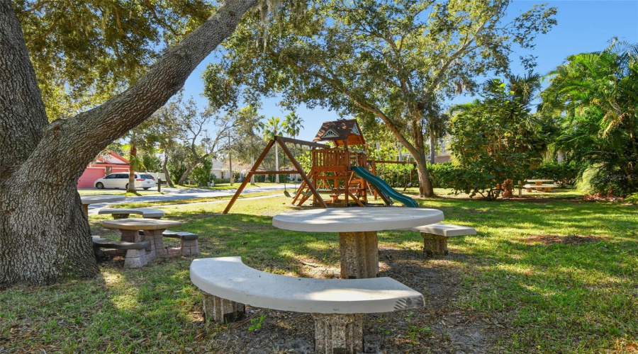 Tarpon Springs, Florida 34689, 5 Bedroom Bedrooms, ,3 Bathroombathrooms,Residential,For Sale,Longview,0,Mfrtb8465717