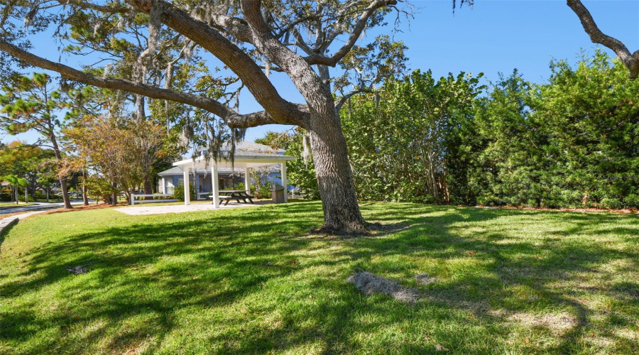 Tarpon Springs, Florida 34689, 5 Bedroom Bedrooms, ,3 Bathroombathrooms,Residential,For Sale,Longview,0,Mfrtb8465717