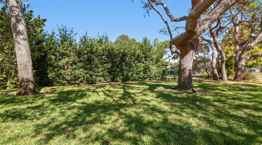 Tarpon Springs, Florida 34689, 5 Bedroom Bedrooms, ,3 Bathroombathrooms,Residential,For Sale,Longview,0,Mfrtb8465717