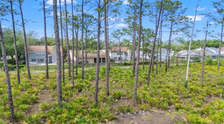Tampa, Florida 33647, 3 Bedroom Bedrooms, ,2 Bathroombathrooms,Residential,For Sale,Willow Cove,0,Mfrtb8499660