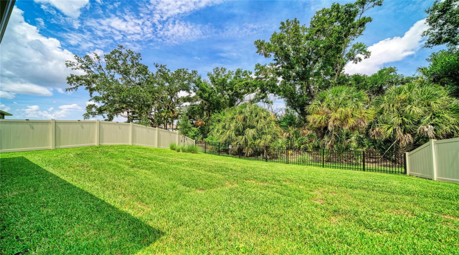 Fenced Backyard