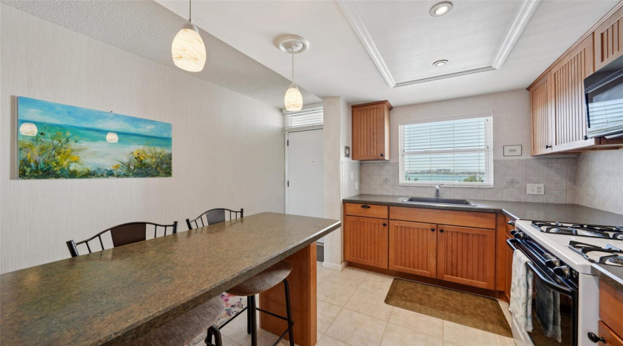 South Pasadena, Florida 33707, 2 Bedroom Bedrooms, ,1 Bathroombathrooms,Residential,For Sale,Shore,0,Mfrtb8515080