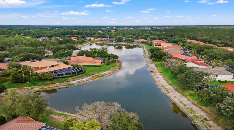 Tampa, Florida 33647, 6 Bedroom Bedrooms, ,3 Bathroombathrooms,Residential,For Sale,Arbor Greene,0,Mfrtb8512311