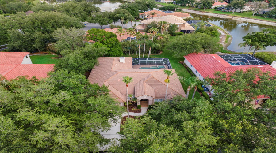 Tampa, Florida 33647, 6 Bedroom Bedrooms, ,3 Bathroombathrooms,Residential,For Sale,Arbor Greene,0,Mfrtb8512311