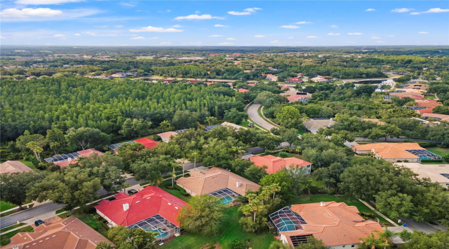 Tampa, Florida 33647, 6 Bedroom Bedrooms, ,3 Bathroombathrooms,Residential,For Sale,Arbor Greene,0,Mfrtb8512311