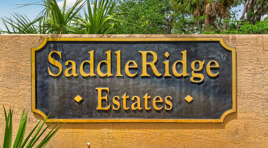 Wesley Chapel, Florida 33545, 4 Bedroom Bedrooms, ,3 Bathroombathrooms,Residential,For Sale,Bridleford,0,Mfrtb8518478