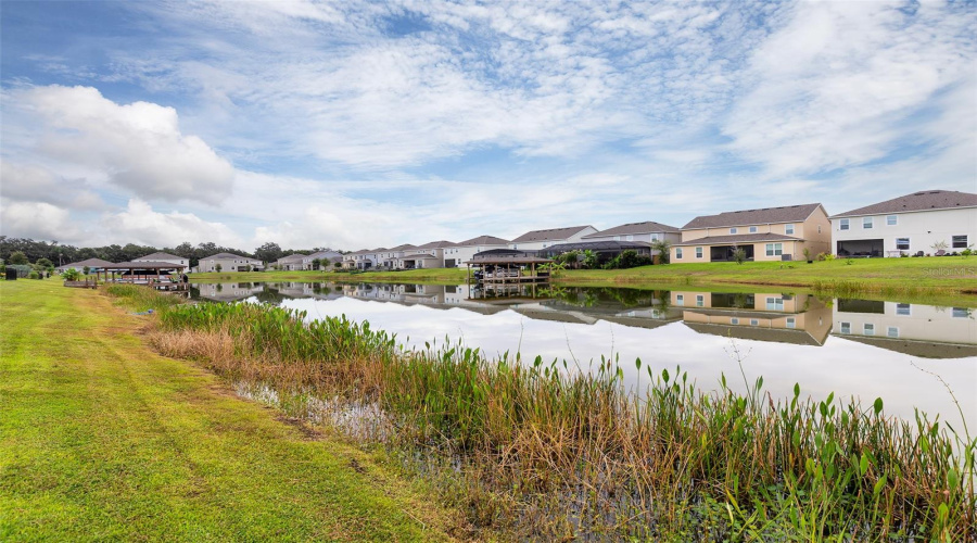 Waterfront Backyard