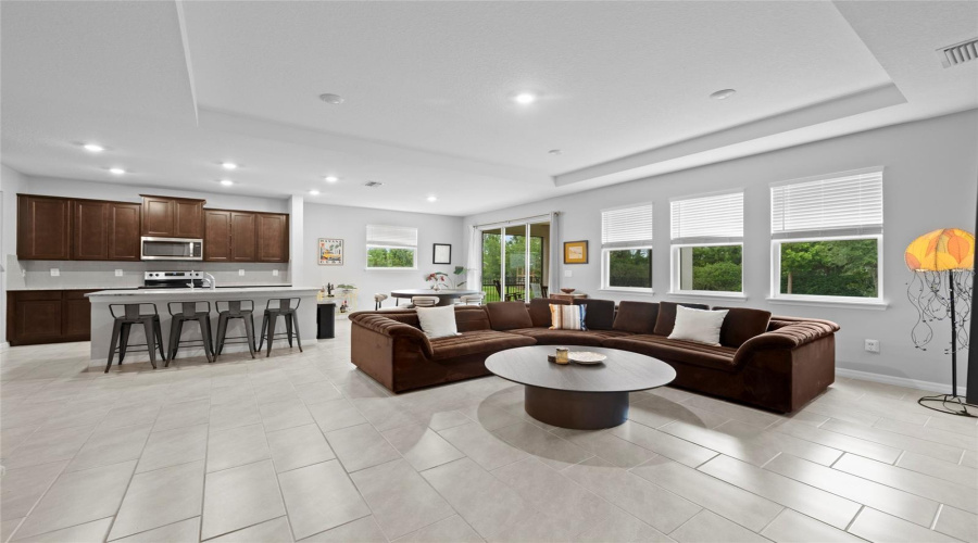 Living Room With Tray Ceilings